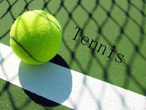 设置了专业 设置了专业