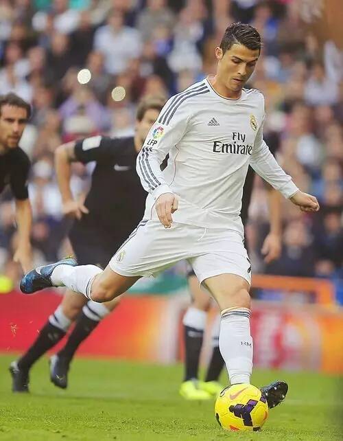 极度崇拜的 极度崇拜的